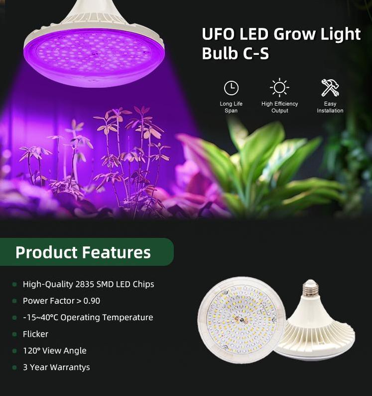 product-747-794 product-747-794