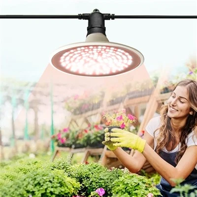 Led 15W Teeb Lub Teeb Rau Kev Loj Hlob